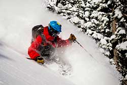 Alpine Ski Expert